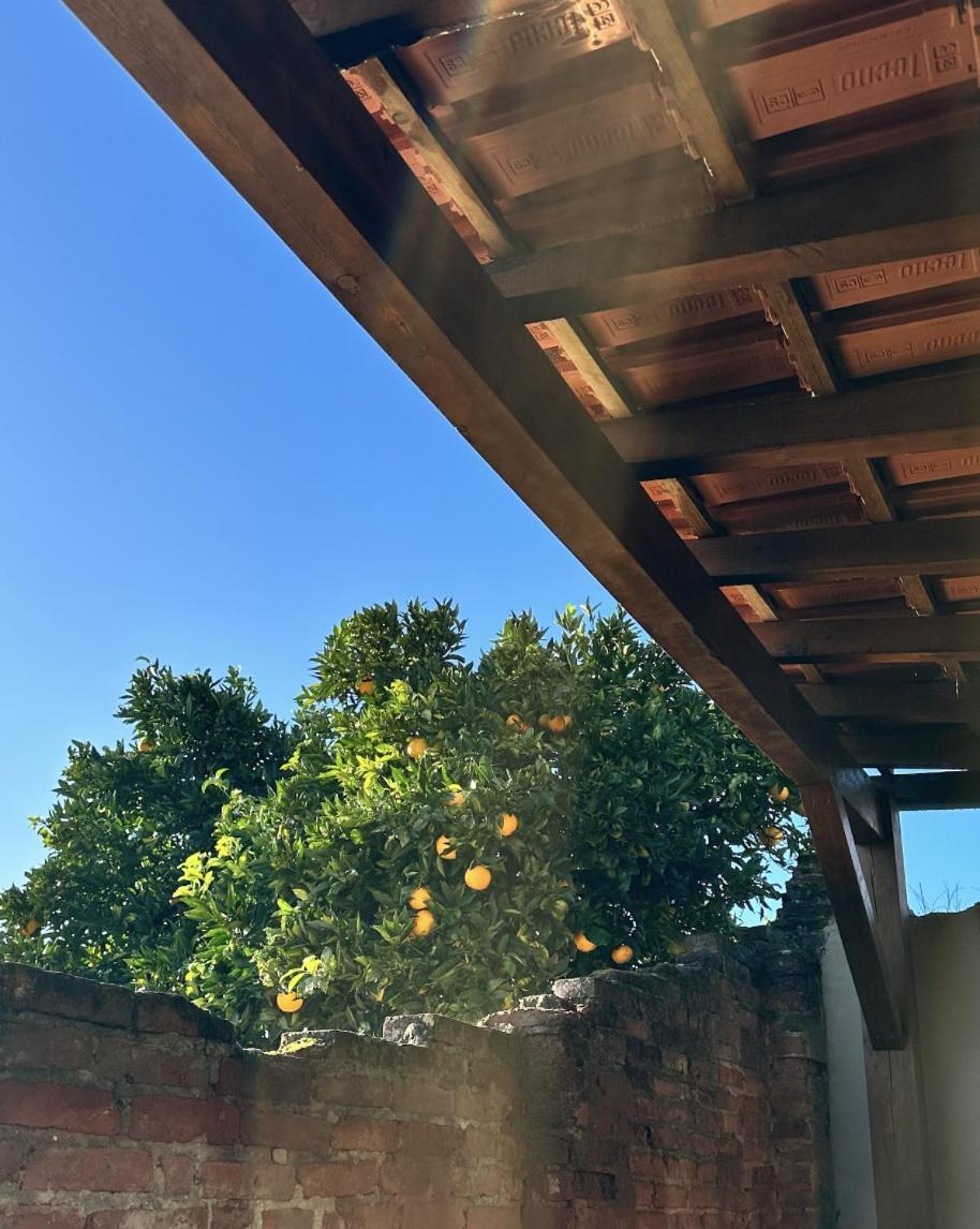 La Casita Nazare - Private Pool别墅 外观 照片